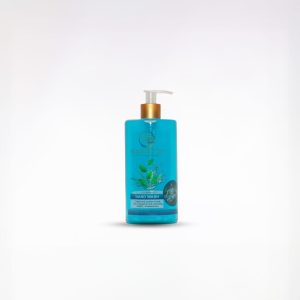 Reach Destiny Hand Wash - Blue